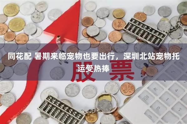 同花配 暑期来临宠物也要出行，深圳北站宠物托运受热捧